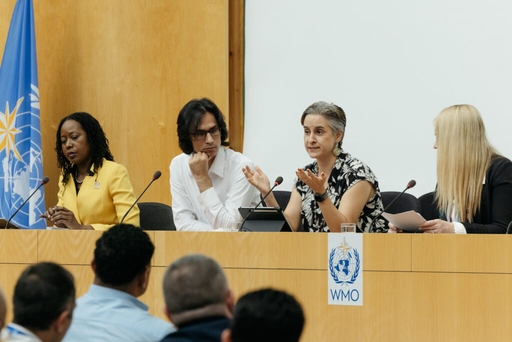 GNDR member Carolina	Garcia Londoño of Sociedad Colombiana de Geologia (Colombia) speaking at GPDRR25 
